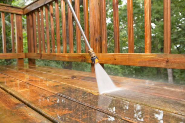 Best Restaurant Pressure Washing  in Lyford, TX